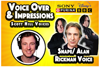 record a brilliant severus snape or alan rickman impression