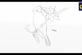 draw realistic pencil drawing, line art or anything