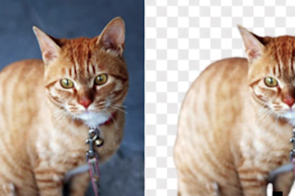 do photo and video editing