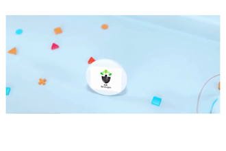 make a custom logo animation and intro