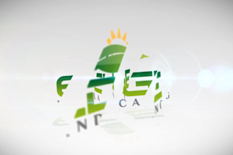 create Amazing logo reveal video intro animation