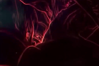 engaging vertical music videos for instagram, tiktok, reels