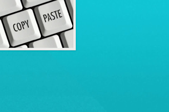 data entry and web research