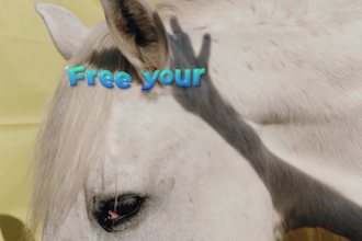 create awesome lyrics video, 4k for free