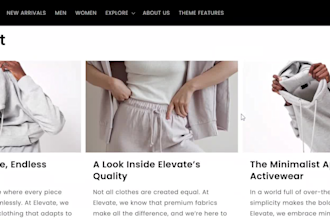 clothing website clothing store shopify website shopify store fashion website