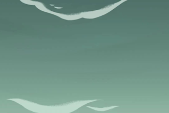 do 2d comic animation, 2d anime fighting, 2d short film, book trailer, meme coin