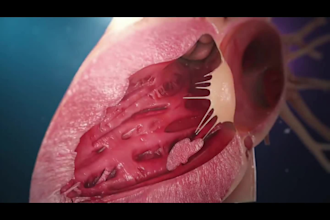 render 3d medical animation services, 3d animation explainer medical videos