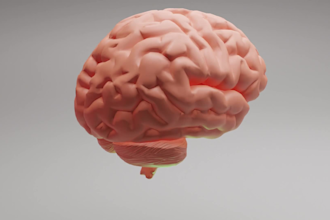 create realistic 3d medical animation and character modeling