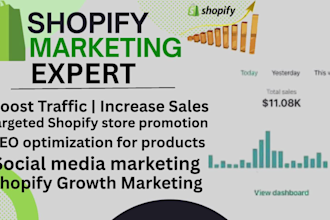 boost shopify sales ecommerce marketing pro