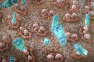 do 3d medical animation, medical video, scientific video and animation