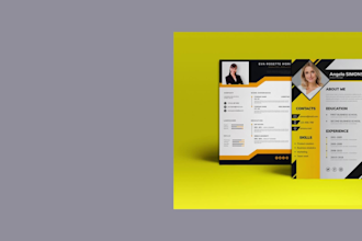 do professional CV writing, resume design and rewrite
