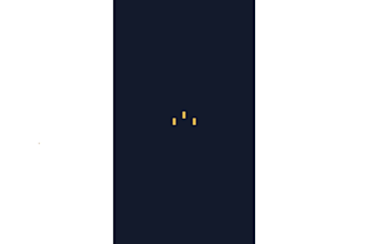 create a professional 2d custom logo animation or intro