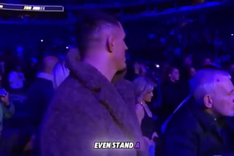 edit ufc boxing mma news videos with realclips