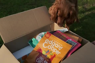create ugc for your dog products or pet brand