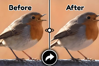 increase image quality with ai upscaling and enhancement