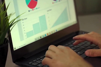 be your expert excel, python and qgis data analyst