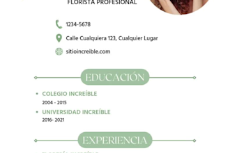 curriculum profesional, escritura y diseño de presentación