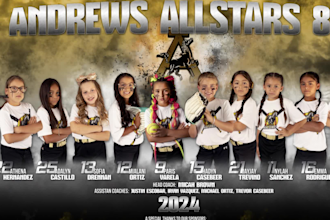 design custom softball banners for teams and athletes