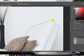 remove the background from the image, clipping path or transparent