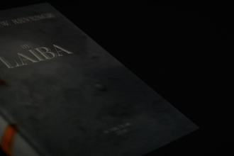 ghostwrite novels, scripts and short stories