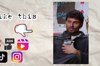 add perfect subtitles and caption to your video in 24h