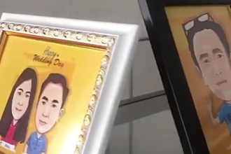 draw your photo into cartoon potrait 24 hours