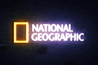 design custom 4k neon logo animation neon light sign, neon intro video for you