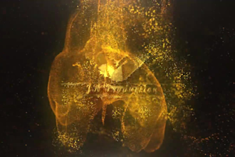 produce a custom dynamic logo animation intro