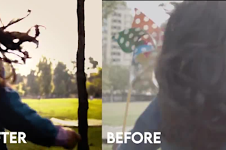 remove green screen, do rotoscoping and vfx cleanup professionally