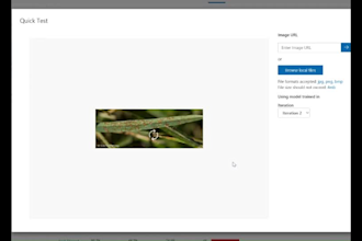 do object detection, face recognition, segmentation and computer vision projects
