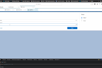 be your vlocity and salesforce project support person