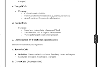 do microsoft word, excel, and powerpoint projects