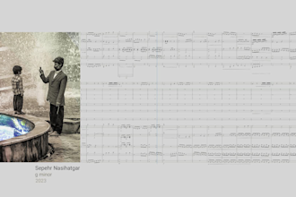compose captivating classical orchestral music for your film or project