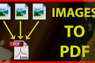 convert PDF to word, pdf to excel, copy paste, data entry