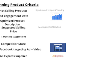 do shopify product hunting dropshipping winning products research