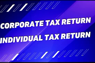 prepare and efile canadian corporation tax return t2, personal tax t1