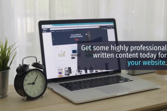 write SEO friendly article or blog in 24 hours