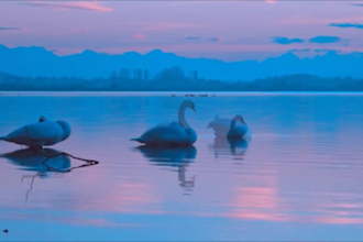 create HD relaxing and meditation youtube video