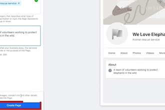 create and set up a professional facebook business page