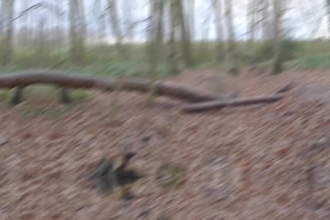 do special effects or visual effects