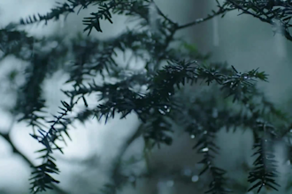 create bulk meditation and relaxing videos