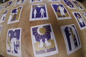 answer life questions for you via natal, tarot, or palm read
