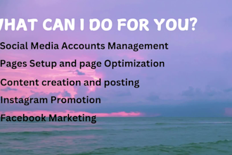 be your social media marketing expert manager
