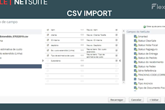 do netsuite administration and consultation works