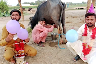 wish african happy birthday video or indian spokesperson