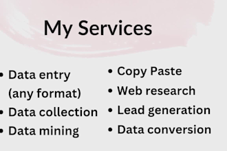 fastest data entry, excel data entry and data cleansing