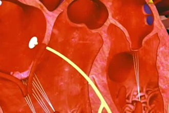 create a stunning 3d medical animation video, medical animation, 3d animation