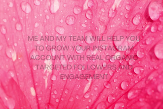 market or promote instagram for quick organic growth
