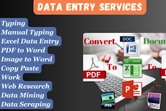 do fast and accurate data entry