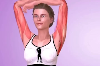 do 3d workout animation, 3d fitness animation, 3d gym animation bodybuilding